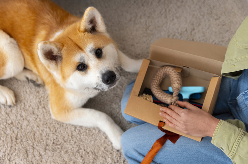 Comportamiento y Entrenamiento