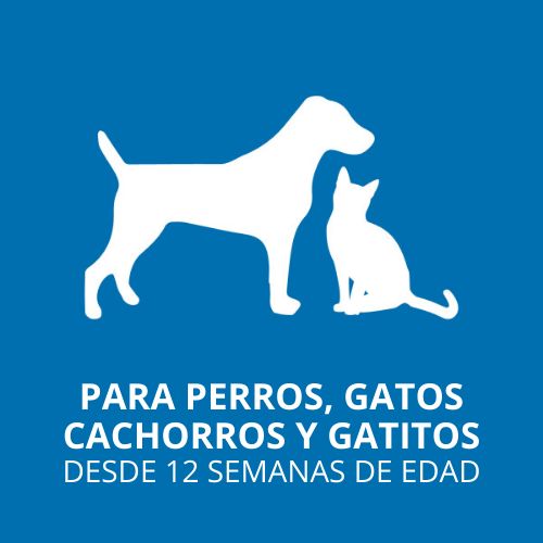 Tropiclean OxyMed Anti-Itch Antipicazón Spray 236 mL.