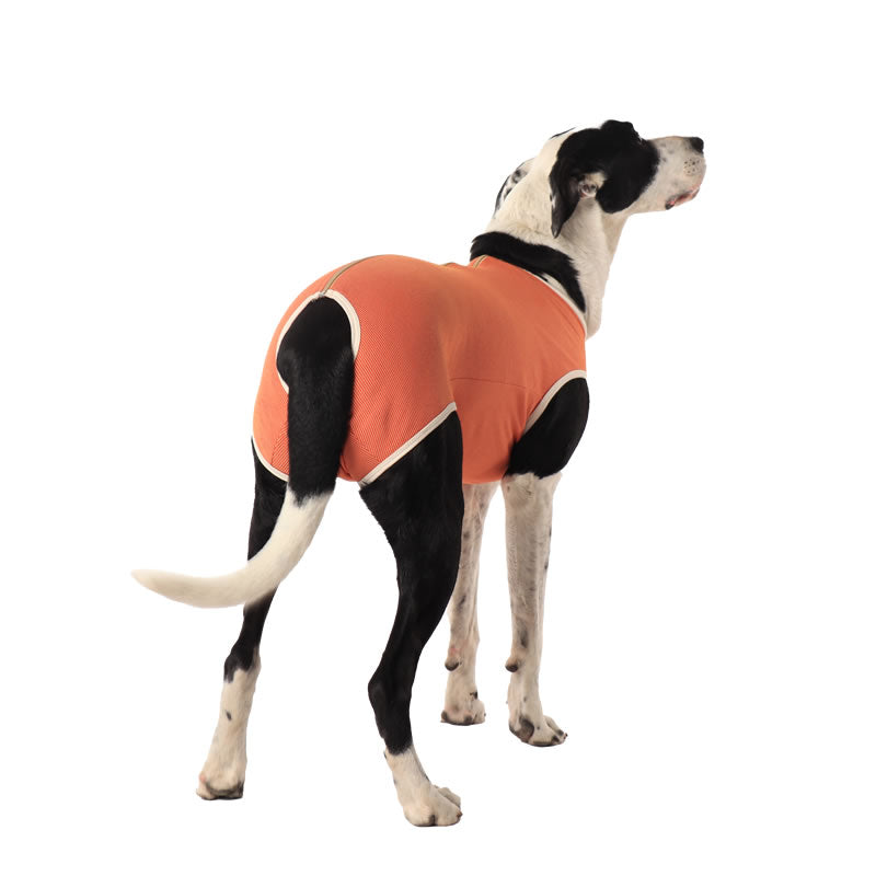 BodyCobre® Castración Postoperatorio Perros Machos