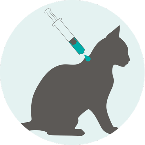 Nexgard Combo Antiparasitario Interno y Externo para Gatos de 0,8 a 2,5 Kg. Boehringer Ingelheim