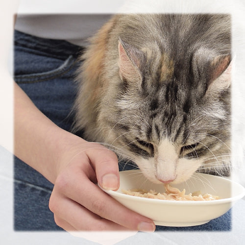 Inaba Chicken Broth – Caldo Natural para Gatos 50 g