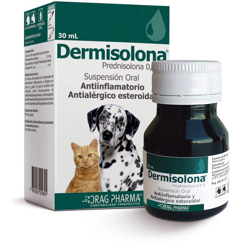 Dermisolona Prednisolona 0.4% Suspensión 30 mL Perros y Gatos DragPharma