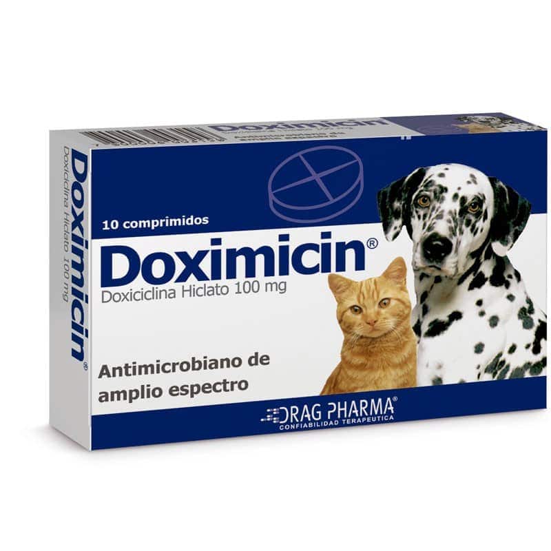 Doximicin 100 mg. - Perros & Gatos - Dragpharma