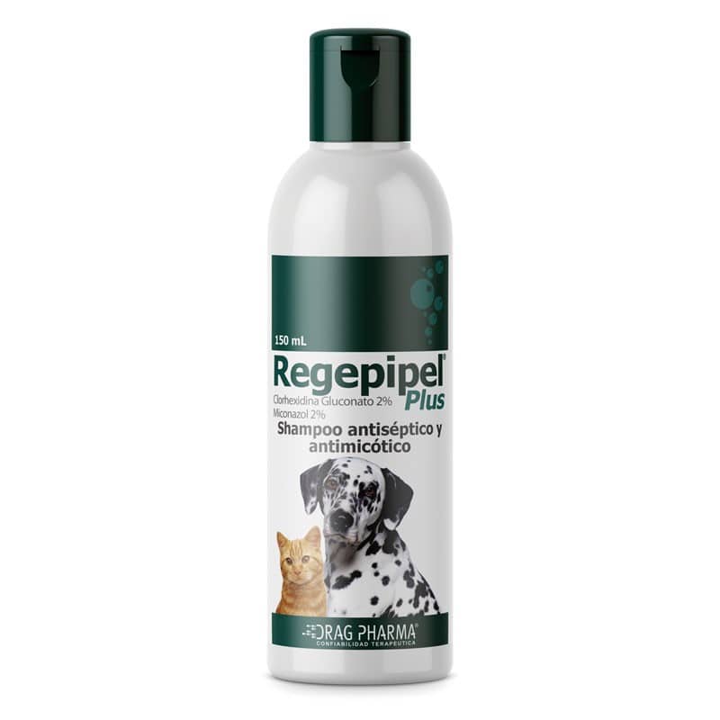 Regepipel Plus Shampoo Perros y Gatos Frasco 150 mL. - Dragpharma