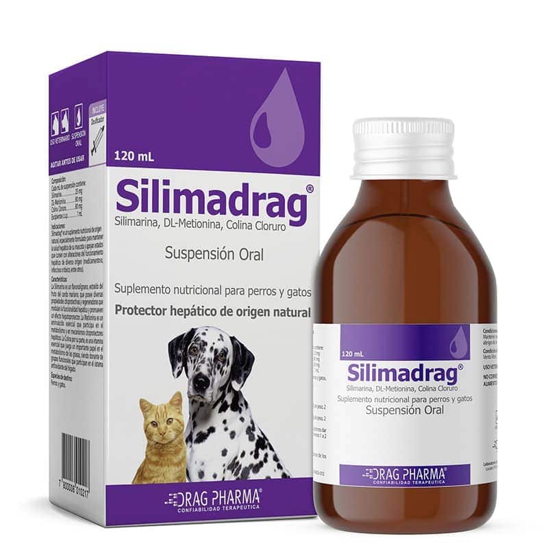 Silimadrag Suspensión Oral 120 mL. Dragpharma