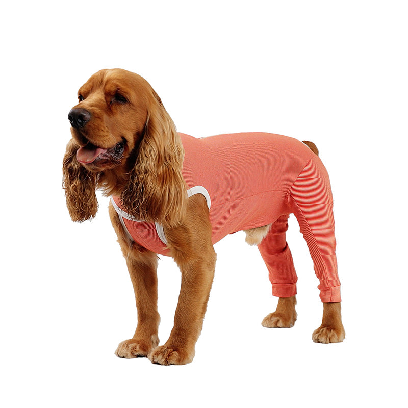 BodyCobre® Miembros Posteriores Postoperatorio