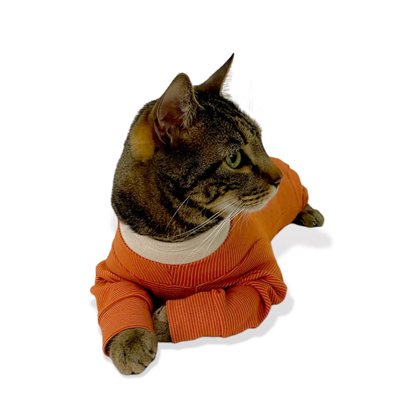 BodyCobre® Completo Postoperatorio 4 Patas