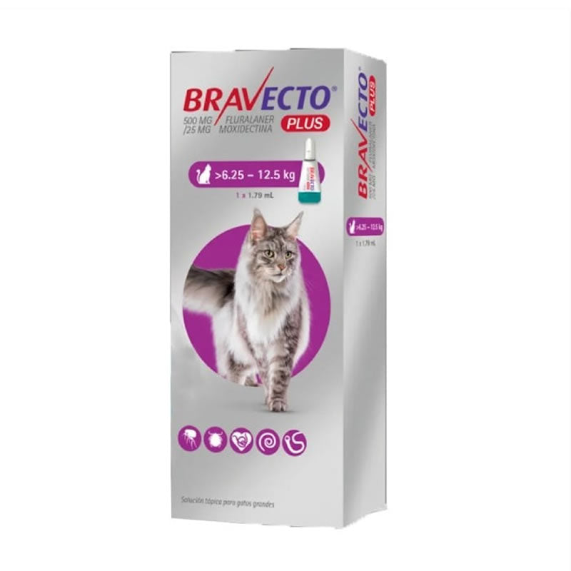 Bravecto Plus para Gatos 6.25 a 12,5 kg – Pipeta Antiparasitaria