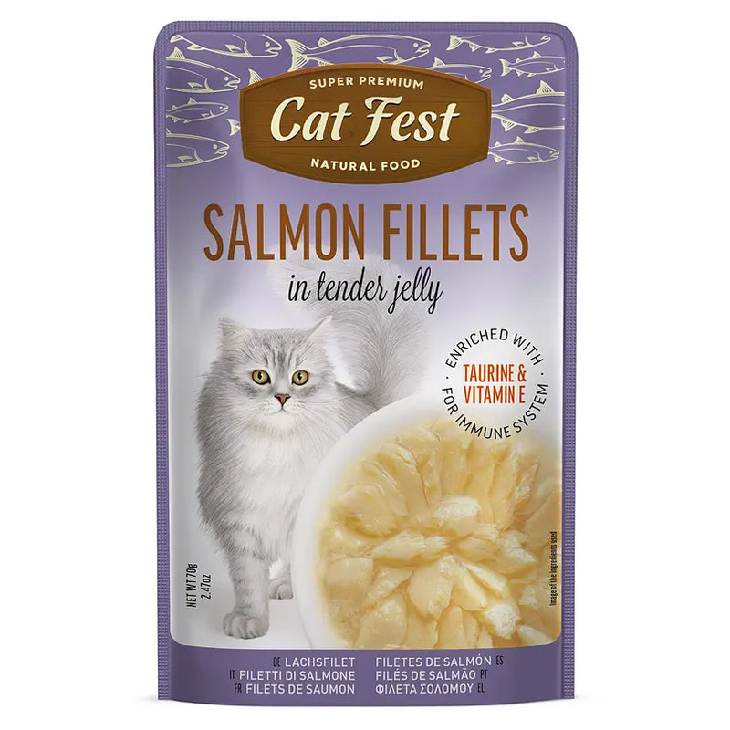 Cat Fest Jelly Salmon Fillets Pouch 70 g.