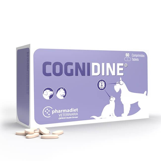 Cognidine ® 60 Tabletas PHARMADIET