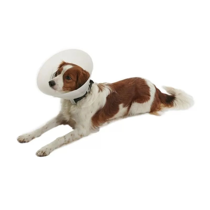 Collar Isabelino para Perros y Gatos