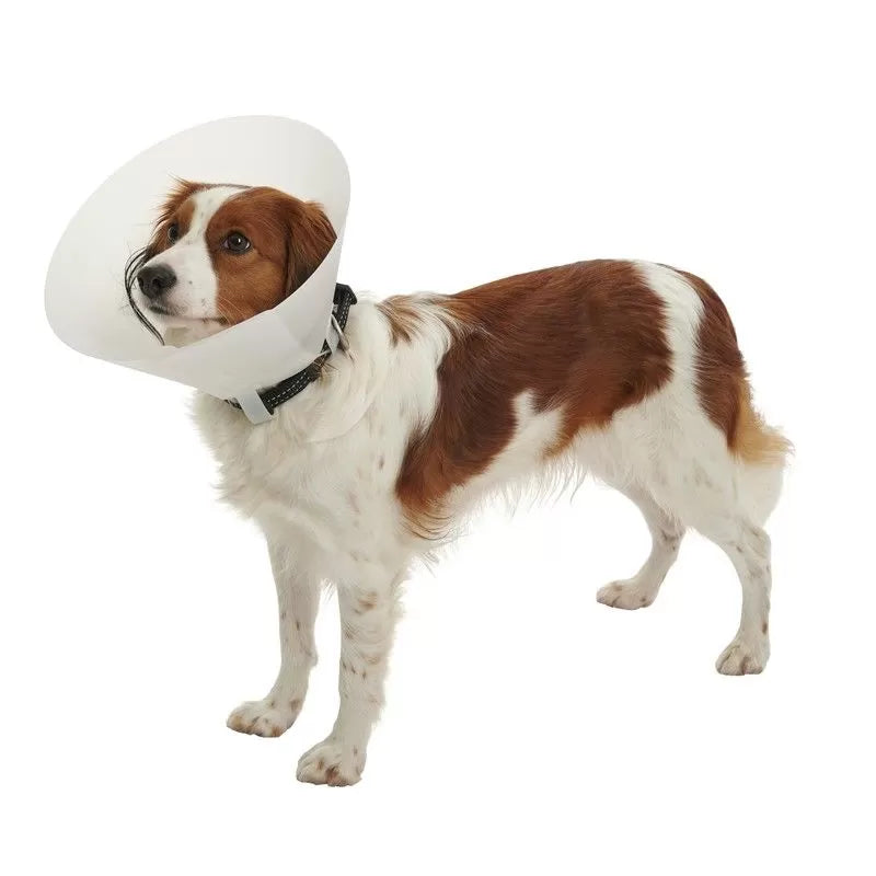 Collar Isabelino para Perros y Gatos