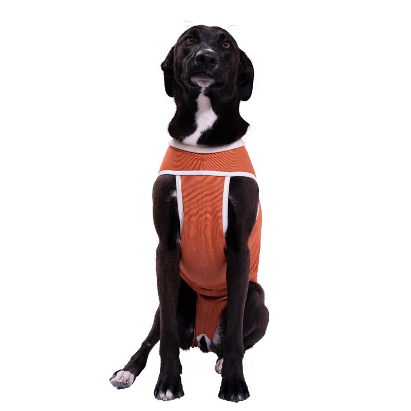 BodyCobre® Tradicional Postoperatorio Perros y Gatos