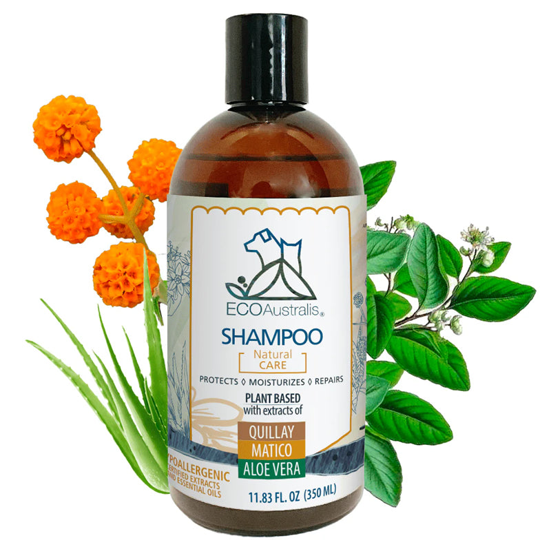 Shampoo hipoalergénico natural Quillay Matico Aloe 350 mL