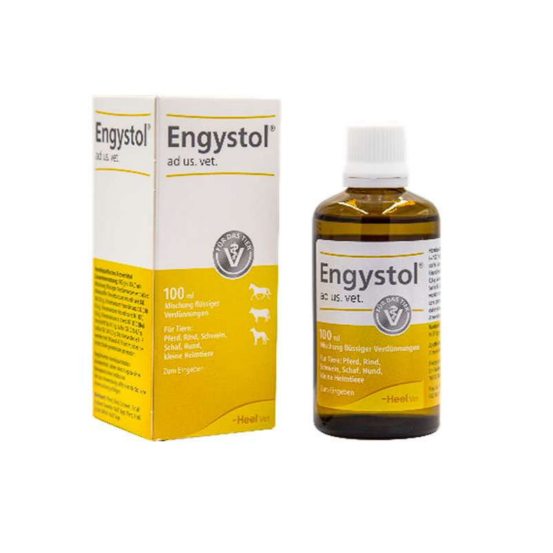 HEEL Engystol Gotas 100 mL - HEEL VET