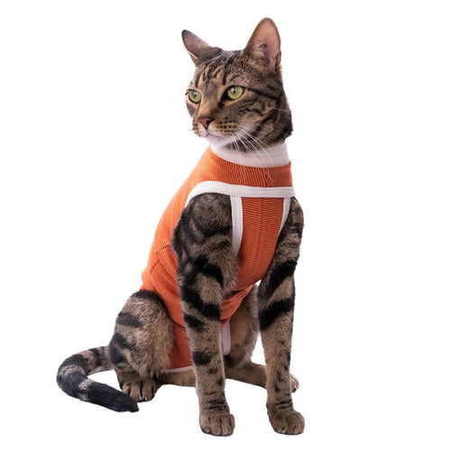BodyCobre® Tradicional Postoperatorio Perros y Gatos