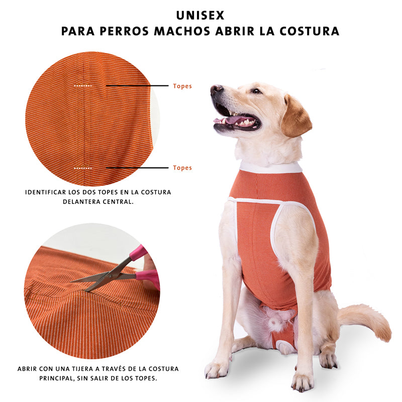 BodyCobre® Tradicional Postoperatorio Perros y Gatos