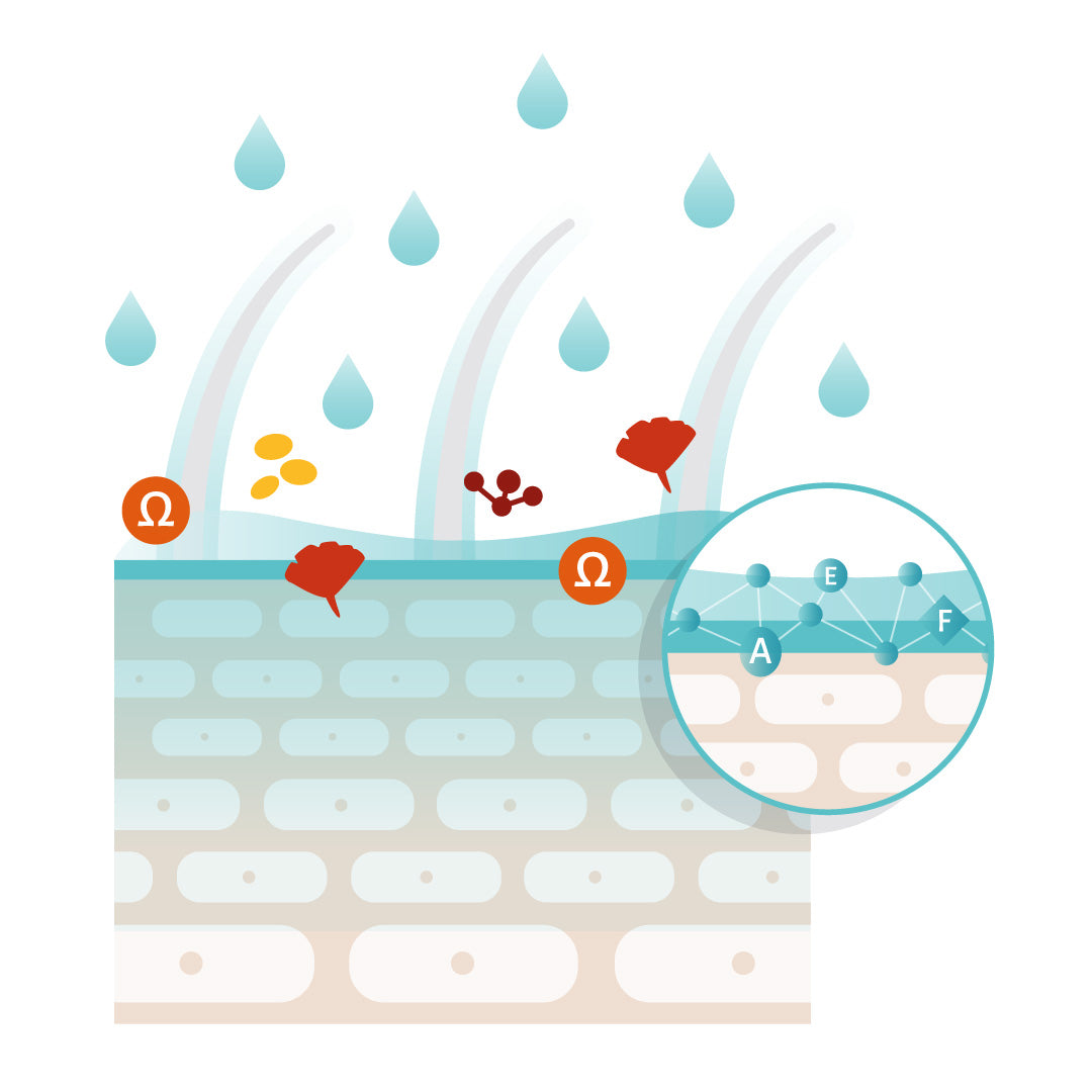 Labyderm Hidratación y Confort - Emulsión Spray 100 mL Labyes