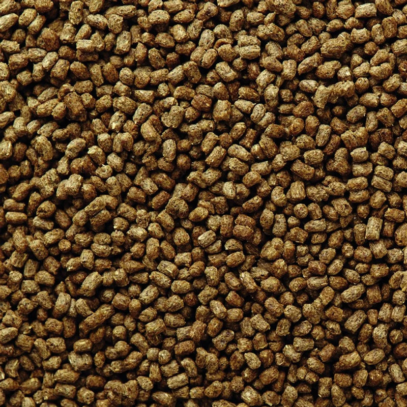 Mazuri Hedgehog Diet - 500g ERIZOS DE TIERRA