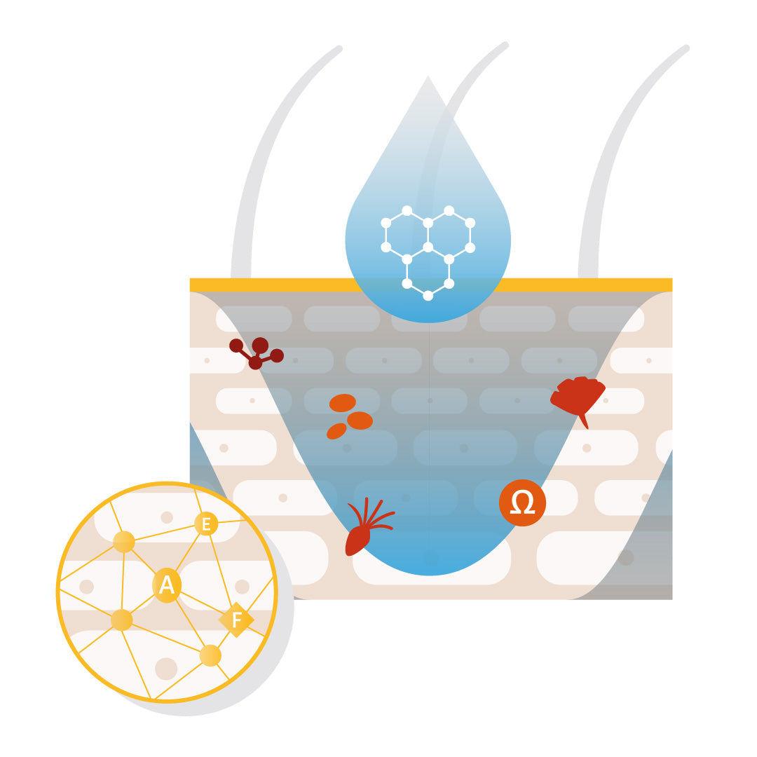Labyderm Nutrición Profunda - Pipeta 2 mL Gatos y Perros de hasta 20 Kg. Labyes