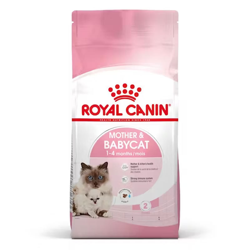 Royal Canin Mother & Babycat para Gatitos hasta 2 meses - Bolsa 1.5 Kg.