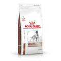 ROYAL CANIN VETERINARY Hepatic Perros 2 Kg.