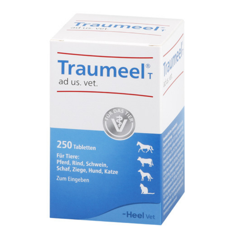 HEEL Traumeel 250 comp - HEEL VET